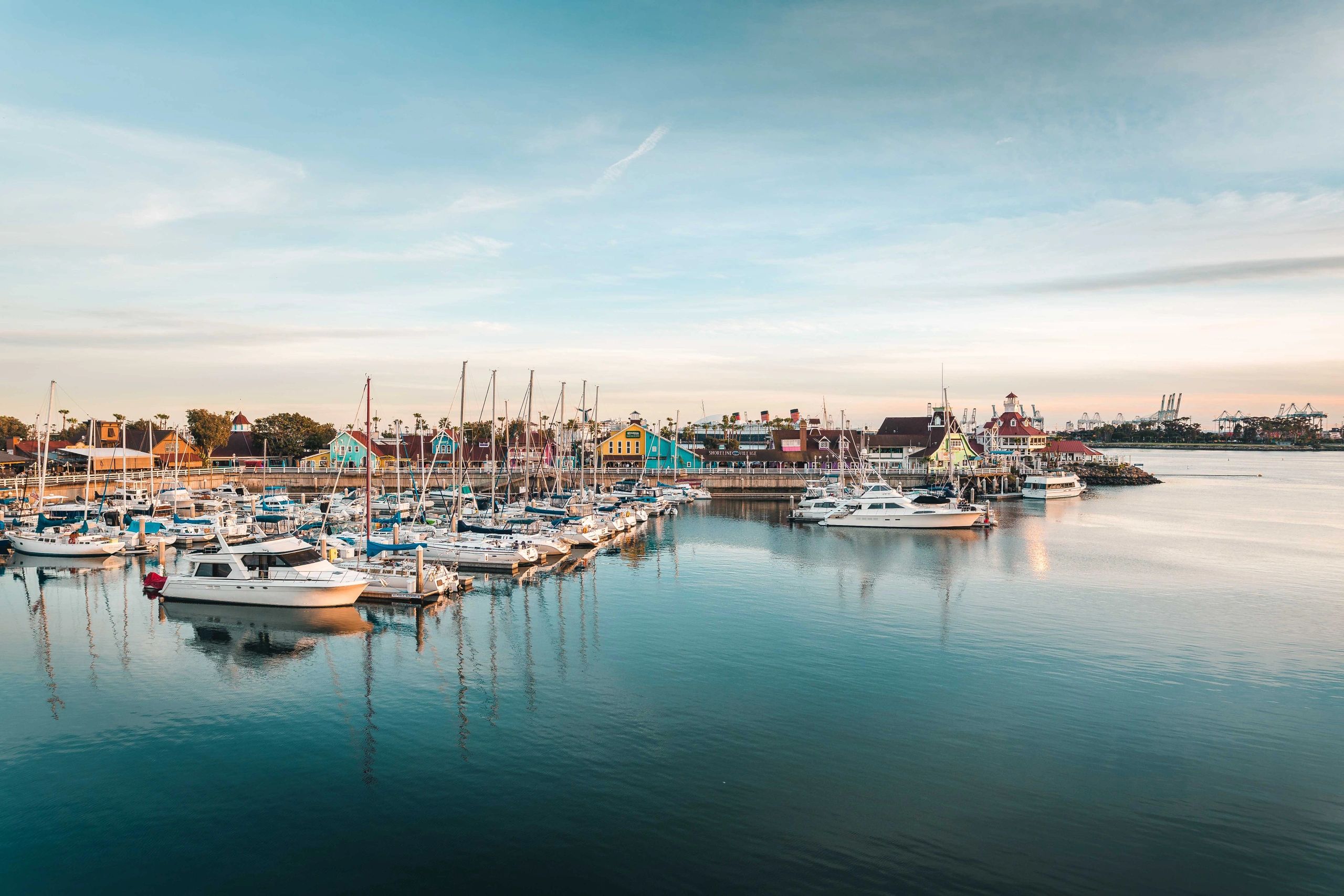 About Murchison Consulting