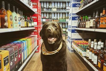 Ernies Package Store, beer, wine, whiskey