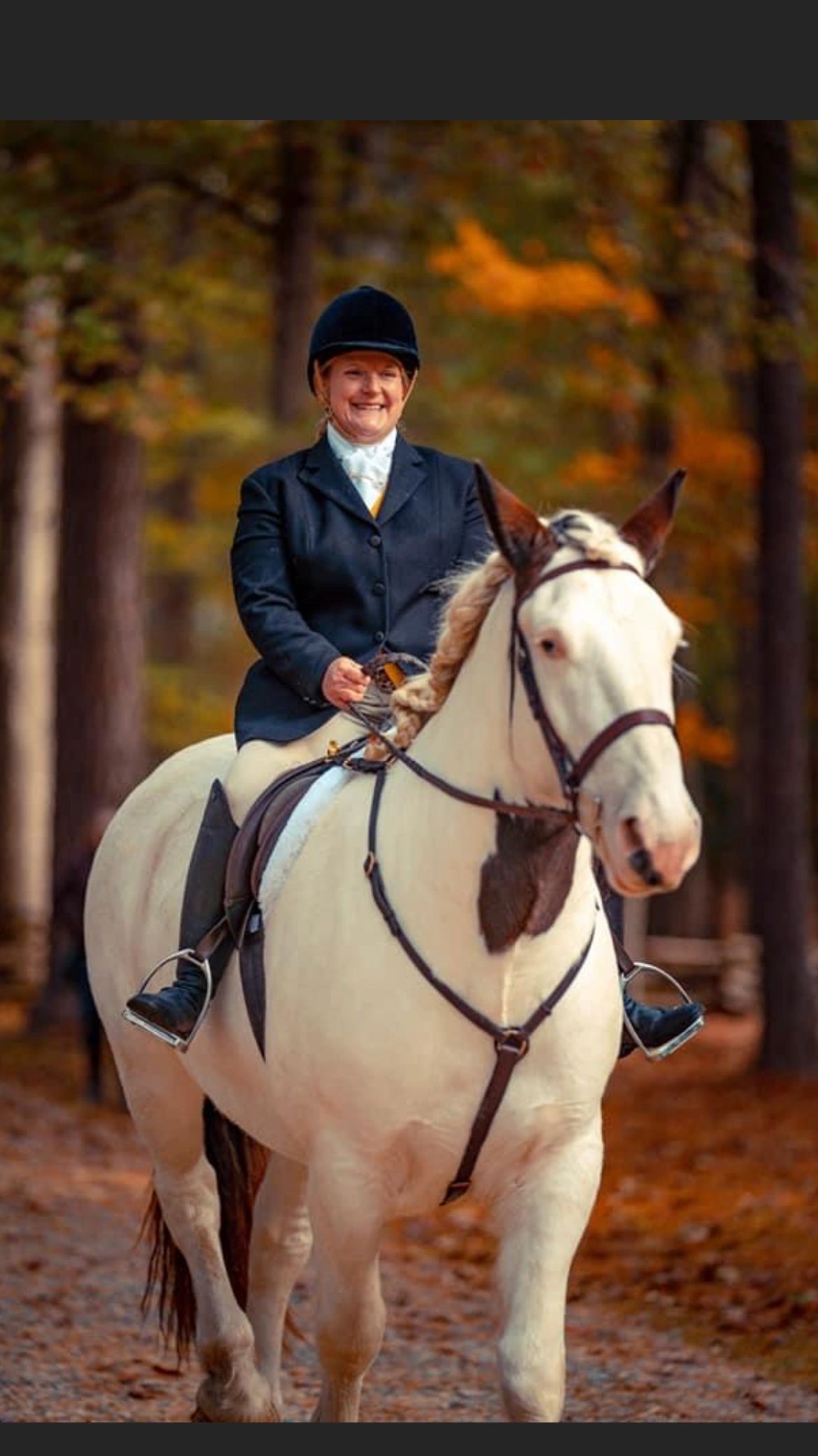 Witten Creek Casper at a foxhunt