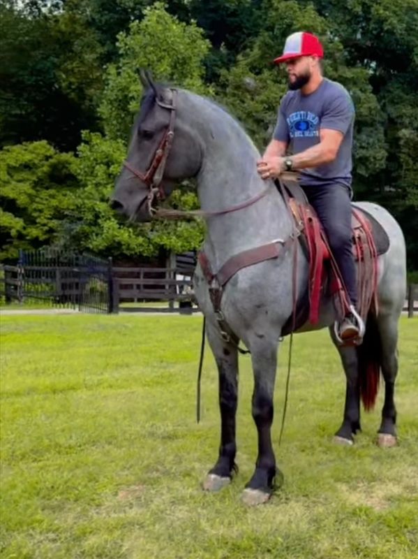 Witten Creek Zeus
Photo credit Andrew Pearman, Zeus’s trainer. Owned by J. Vespucci, North Carolina,