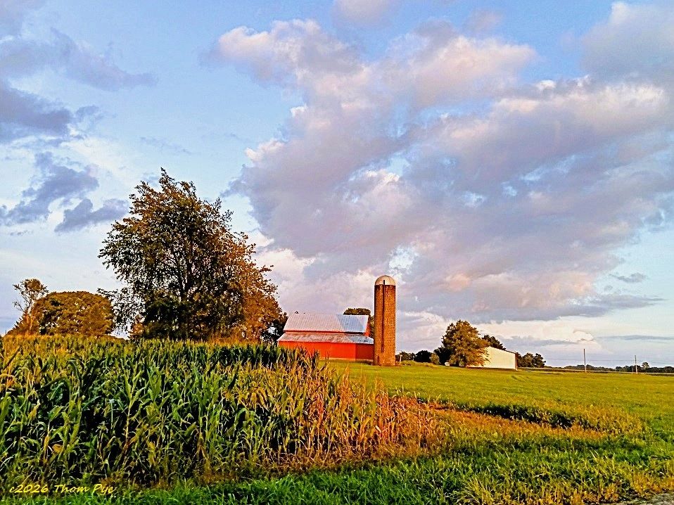 A Harvest Lane
the corn the soy
A setting sun
the day is done