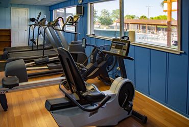 Cardio
Bicycle
Treadmill
Fitness
Gym
Workout