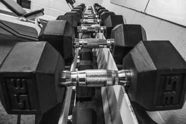 Lift
Free Weight
Dumbells
Curls