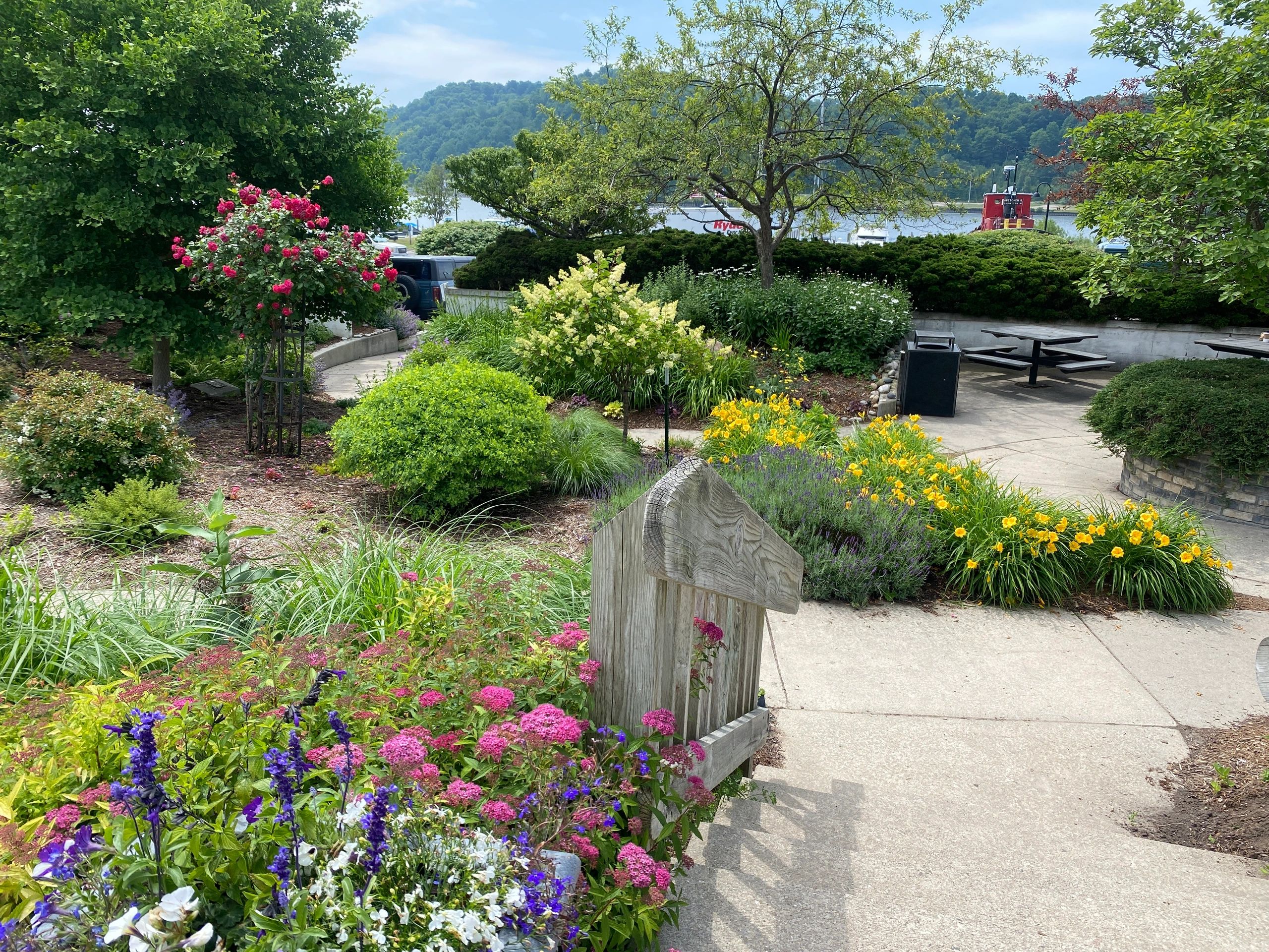 Colorful garden with flowers and trees near a waterfront.