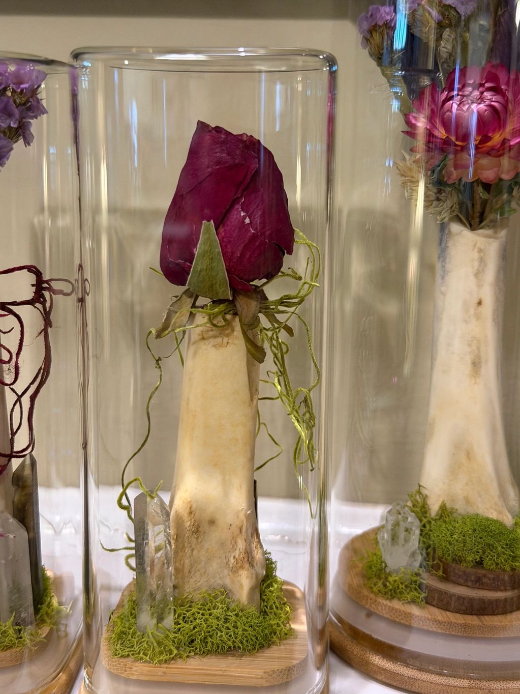 Dried rose encased in a glass dome with natural decorations.