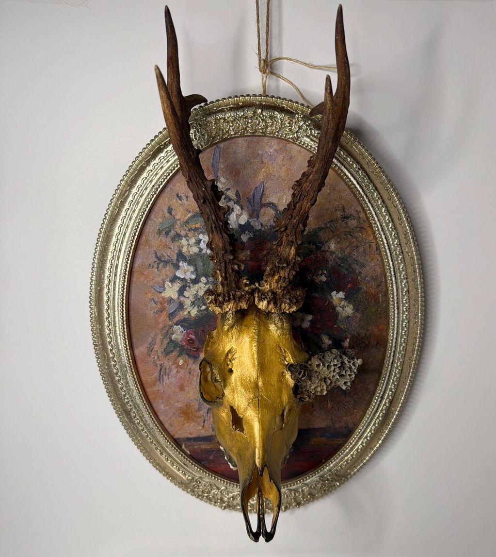 Deer skull with wasp nest.