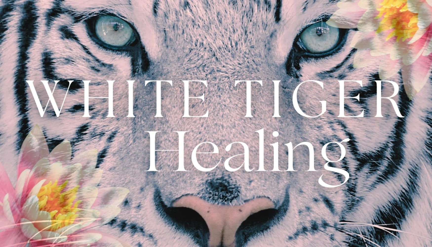 Close-up of a white tiger with 'WHITE TIGER Healing' text and floral accents.