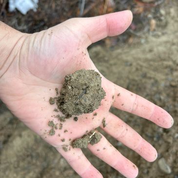 Hand holding a small clump of soil outdoors.