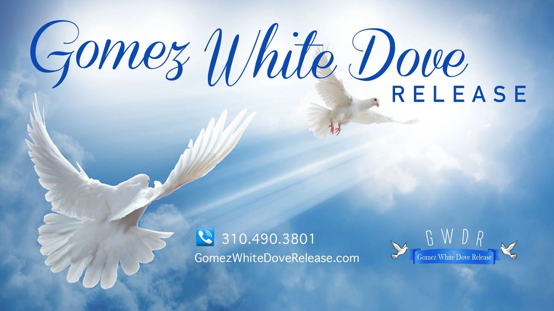 Gomez White Dove Release