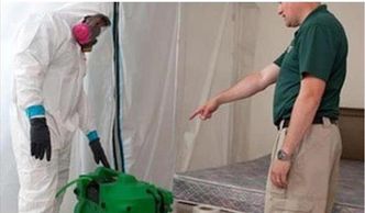 Mold clean up Mold problem, mold issue Auburn Opelika mold removal mold testing, indoor air quality