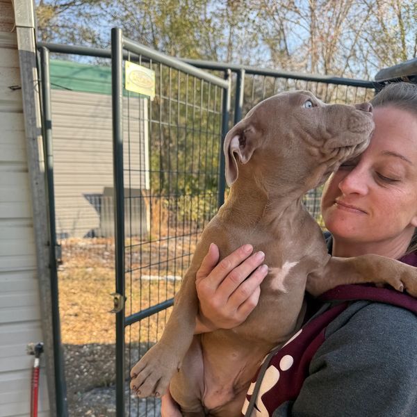 A woman lovingly holds a puppy outdoors near a fenced area.