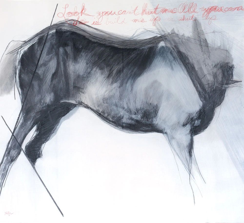 horse torso with cursive writing