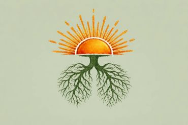 Illustration of a sun with roots like a tree, symbolizing growth and connection.