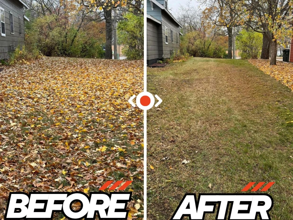 Before and after fall clean up