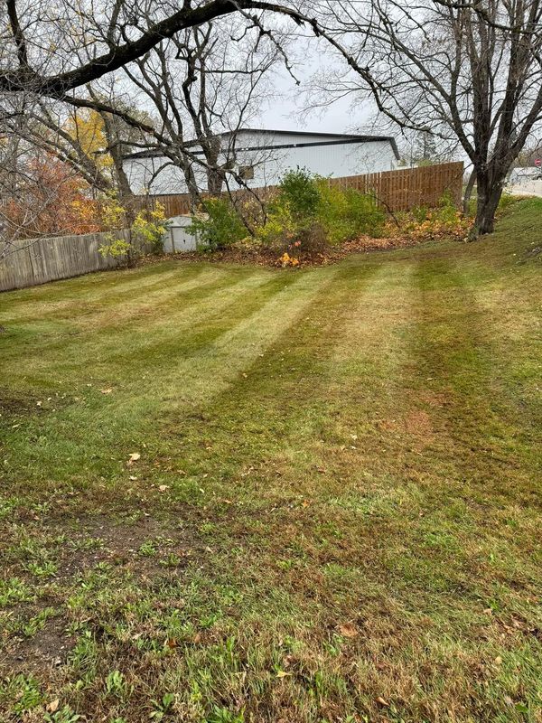 Small yard for lawn care