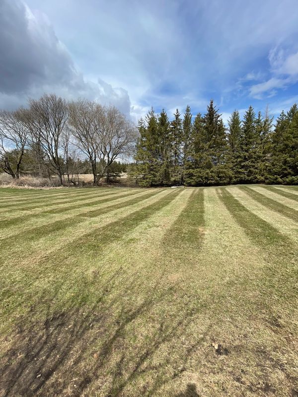 Striped lawns