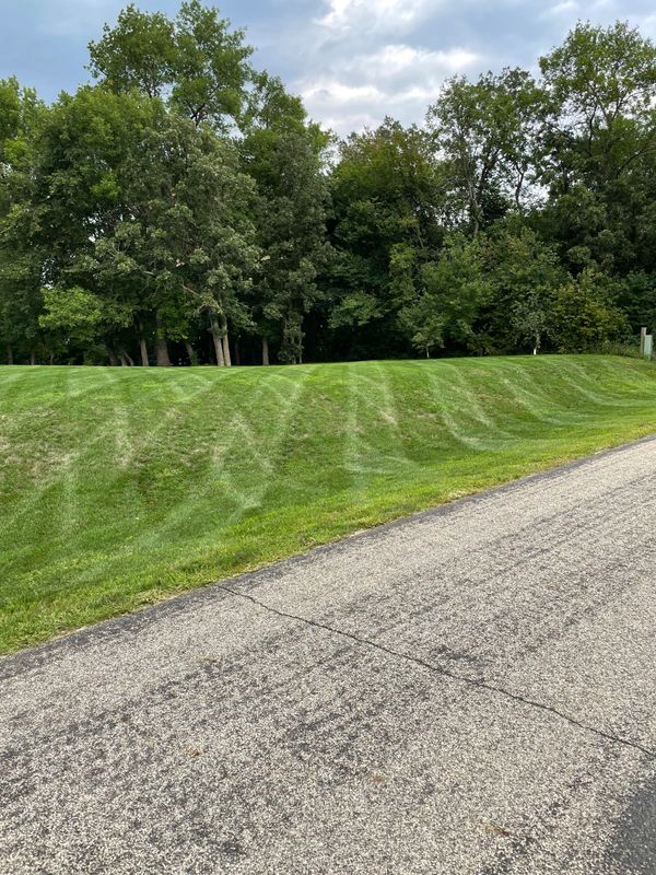 Large yard for lawn care