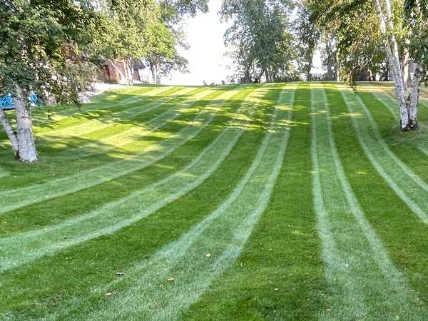 Lawn care