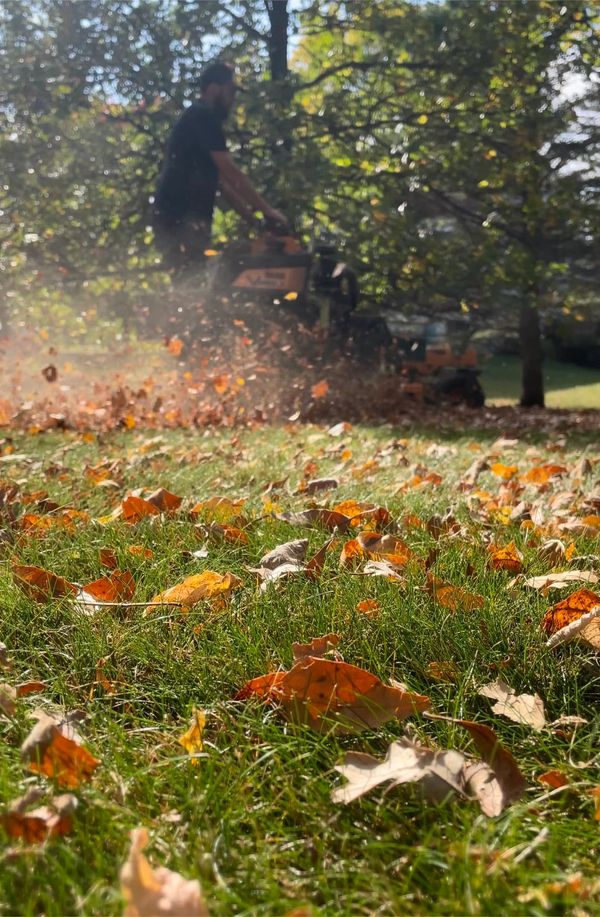 Fall clean up