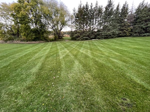 Lawn care