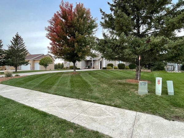 Lawn care and fertilization