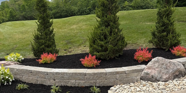 Well-maintained garden bed with evergreen trees, colorful shrubs, and a stone retaining wall.