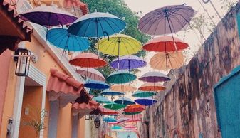 Getsemani, colourful street full of umbrellas. Incentives in Cartagena. Colombian DMC. Colombia DMC