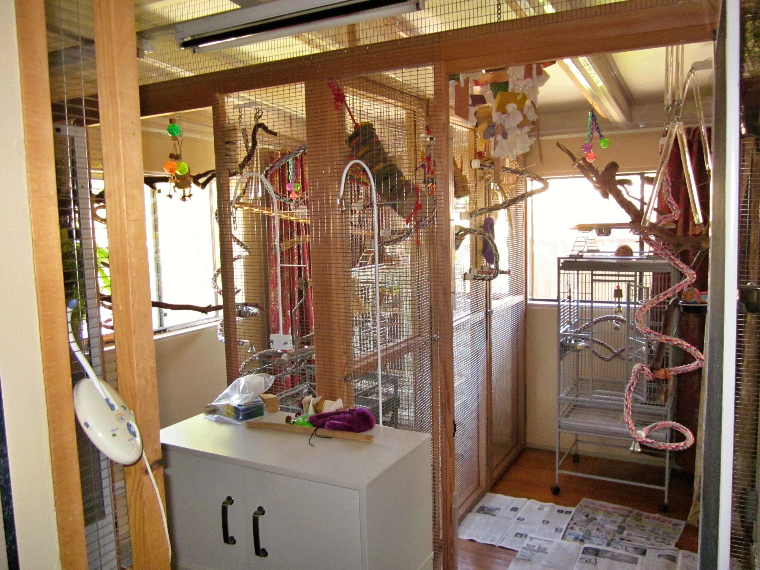 Bird Room  for Pionus & Amazon that don't get along. Client design, Birdie Buddy consult & build.