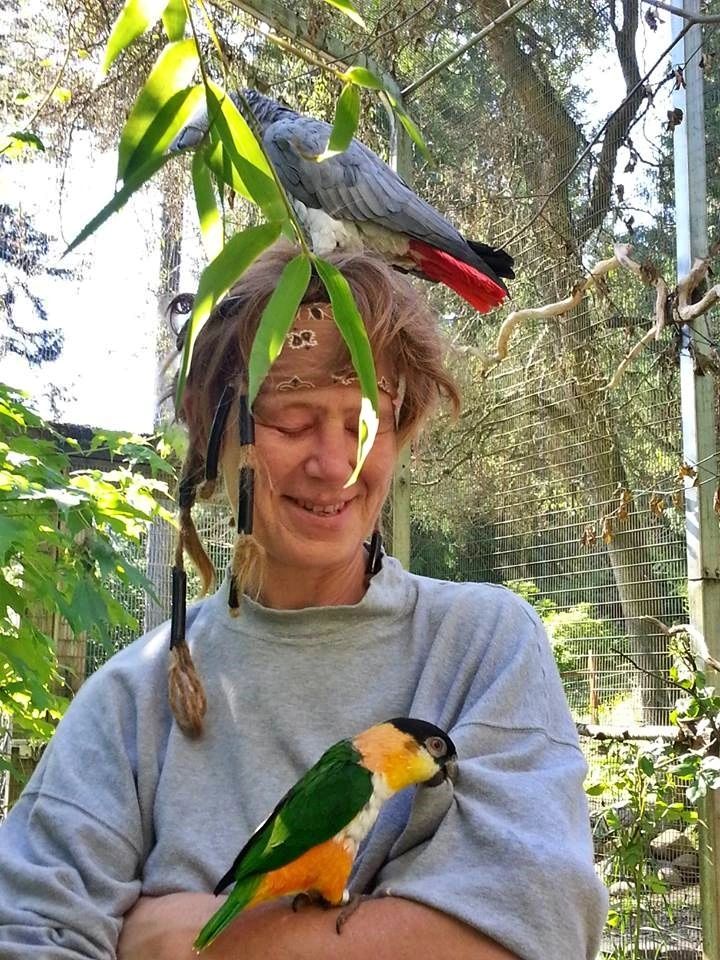 Birdie Buddy in an aviary with  a Grey parrot on their head and a Caique on their arm.
