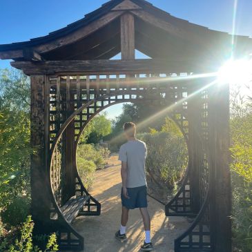 Person walking through a wooden archway in a sunny garden.