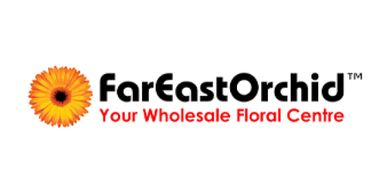 Far East Orchid