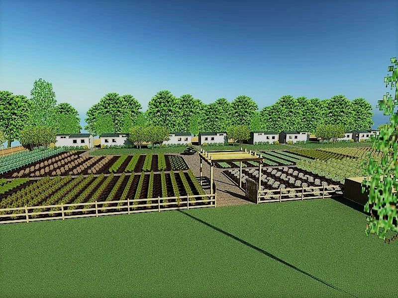 Download Information Mingus Job Accelerator