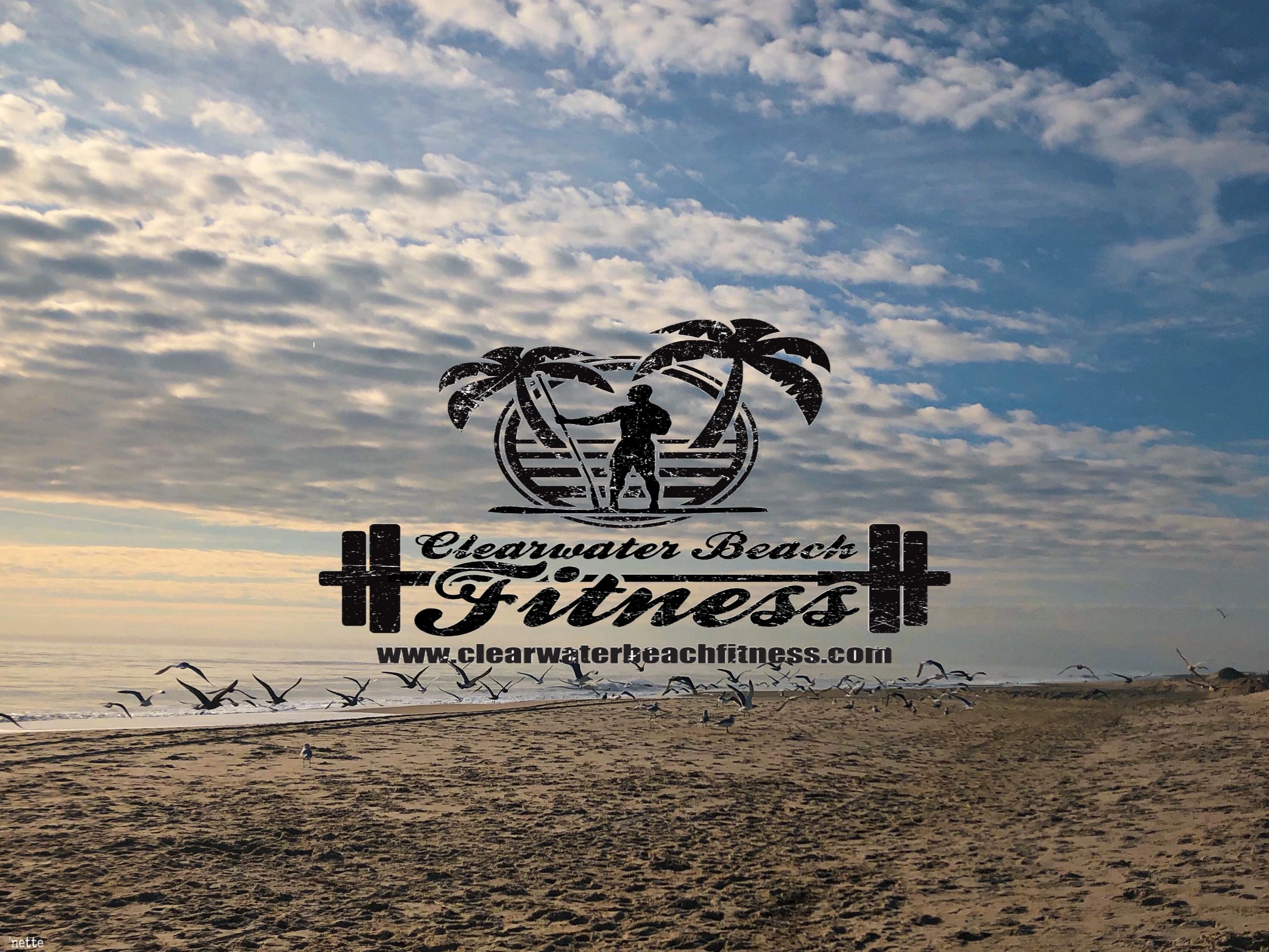 Clearwater beach fitness Home