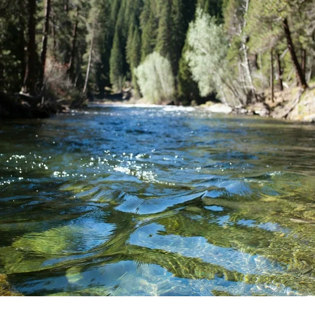 río Molalla, Oregon USA.