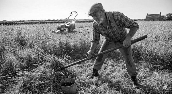 An elderly man working in a field using a rake with a lawnmower in the background.