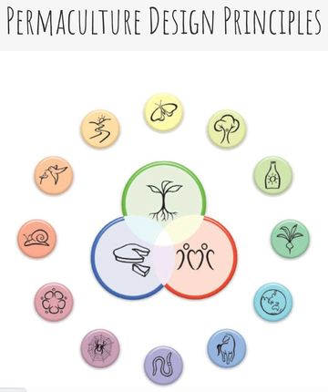 Permaculture Design Principles diagram