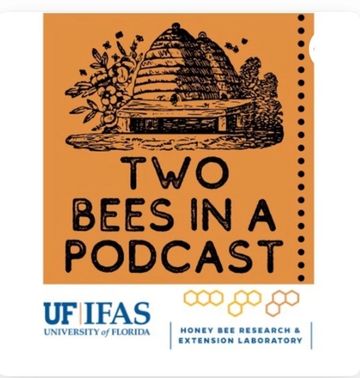 Two Bees in a Podcast logo