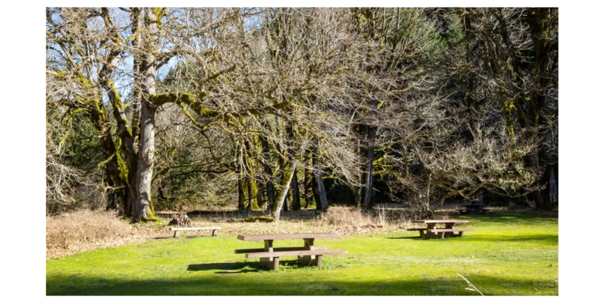 Photo of the picnic area next to Madison Falls in the Olympic National Park.