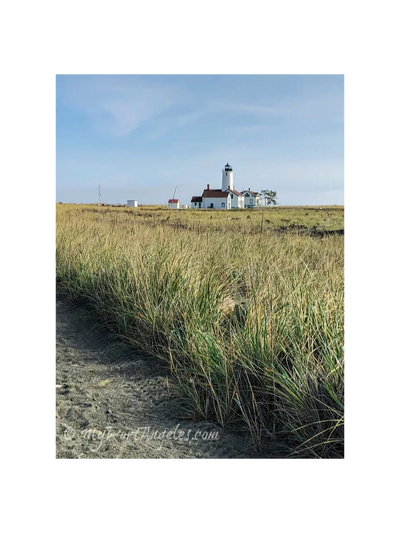 View of the Dungeness Lighthouse from the vantagepoint of Dungeness Spit.