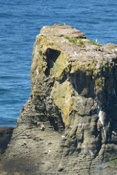 Sea stacks at Cape Flattery in the Makah Indian Reservation.