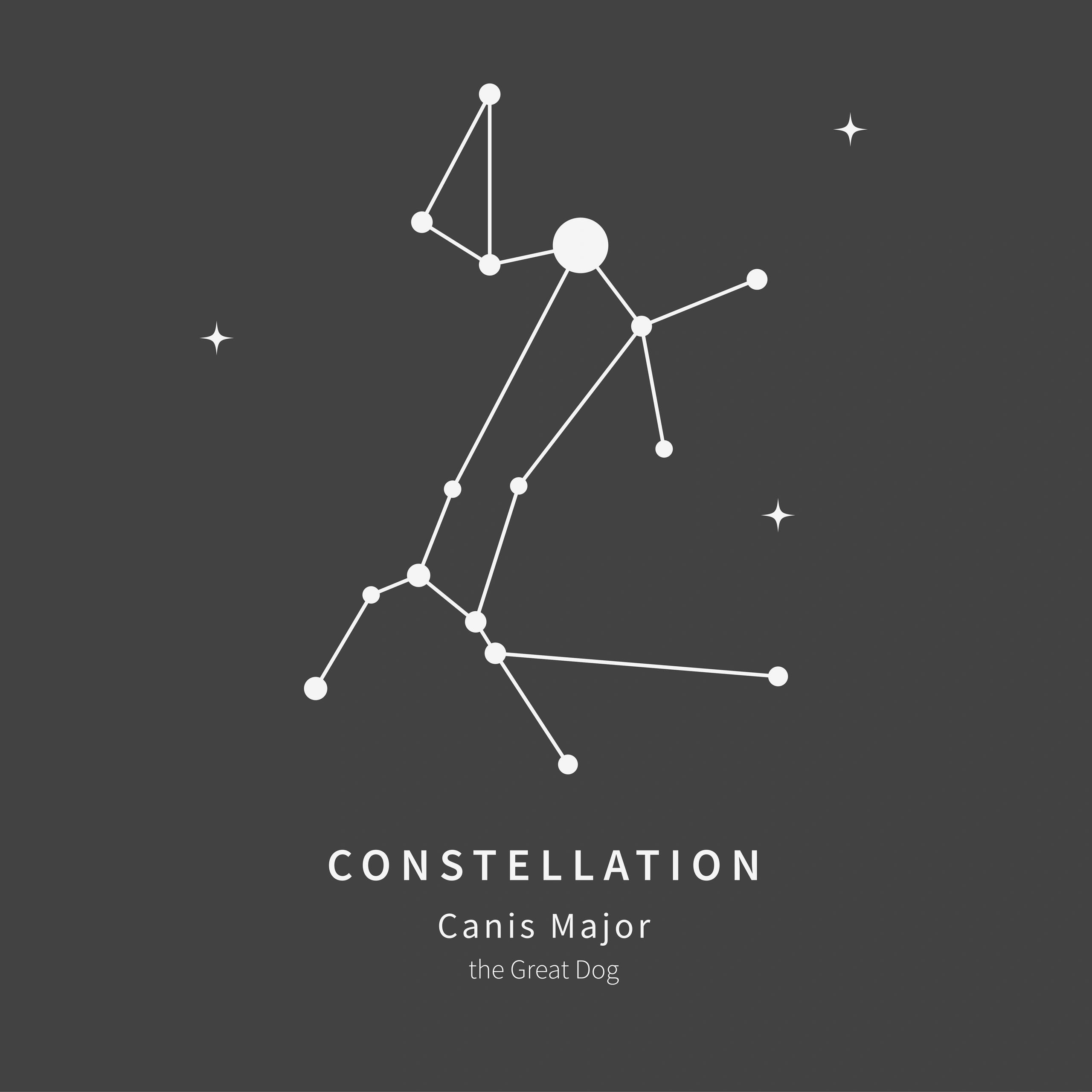 The constellation Canis Major means "the Great Dog."