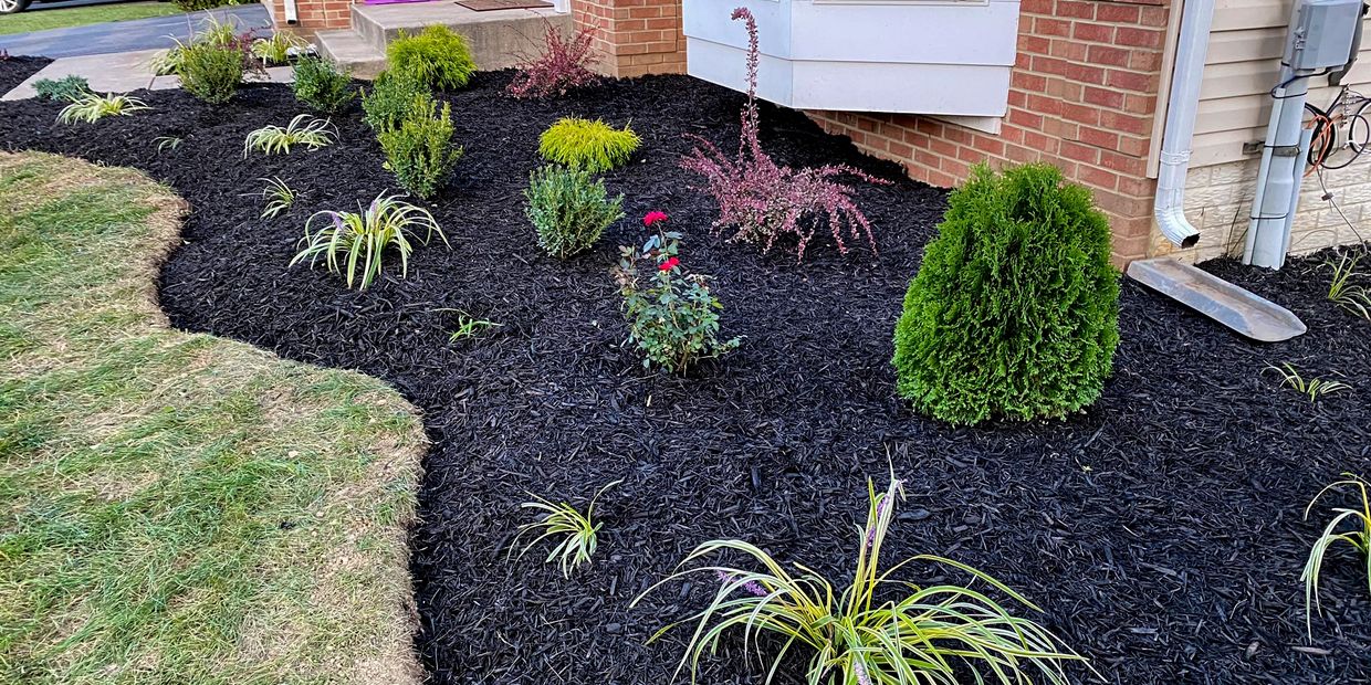 Freshly mulched flower bed with new flowers and bushes.