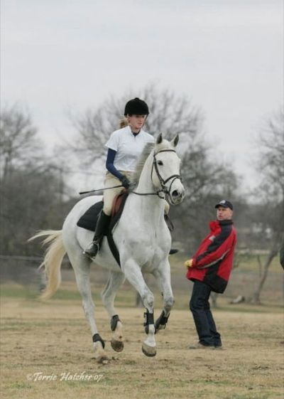 Bring your horse to Wainui Farm for training, lessons, instruction. Dressage, Show Jumping, Eventing