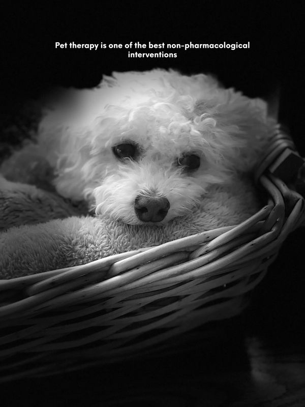 #pettherapy #therapeutic pet therapy therapeutic