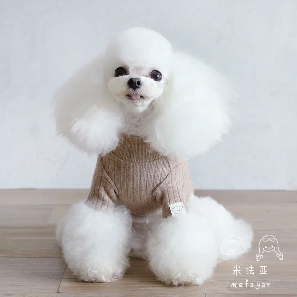 White Toy Poodle wearing a brown base layer dog sweater sat looking at you.