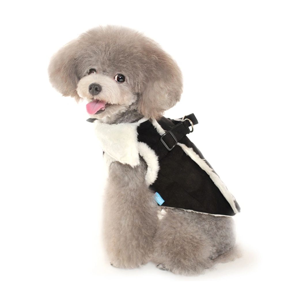 Silver toy poodle wearing a faux suede black dog coat with integrated harness for winter uk.