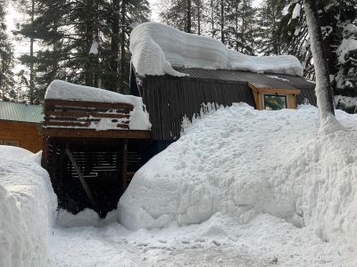 Snow-covered cabin surrounded by tall trees.