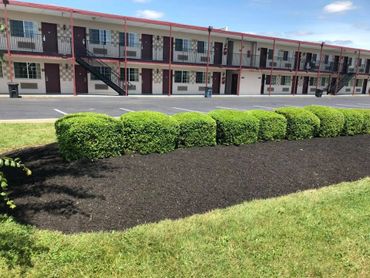 mulch service preformed at the travel lodge in Grove City Ohio 43123