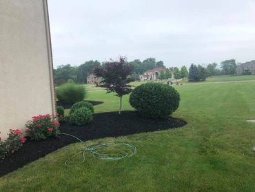 side of a house that was mulch in the pinnacle Grove City Ohio 43123