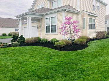 Pinnacle home off buckeye parkway in Grove City Ohio 43123 - Mulch and landscape
